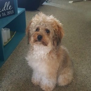 Meet your Posher, Wanda